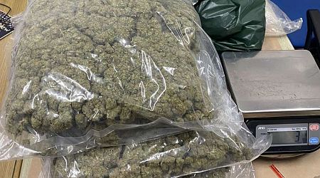 Two people arrested for cannabis possession