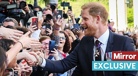 Prince Harry's eight-word response to fans as he walked away from cheering crowds