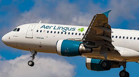 Aer Lingus worker who called colleagues 'bullies and bitches' has unfair dismissal claim thrown out