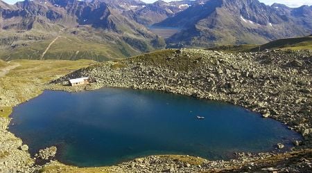 How rising treelines can affect Alpine lakes