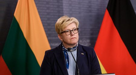 Lithuania Is Open to Sending Troops on Training Mission in Ukraine