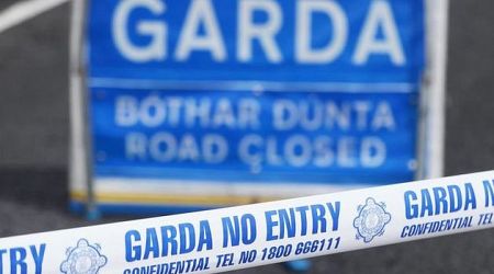 Man (20s) killed in scrambler bike crash in Dublin