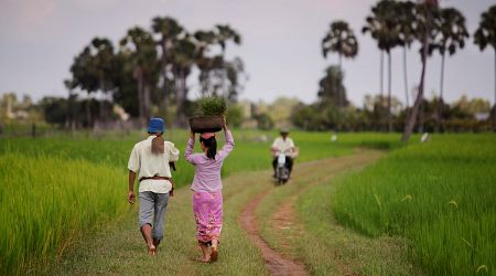 WTO accession increased intimate partner violence in Cambodia
