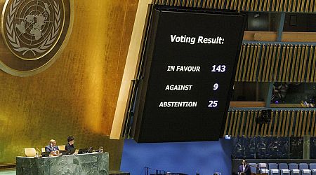 UN General Assembly backs Palestinian bid for full membership