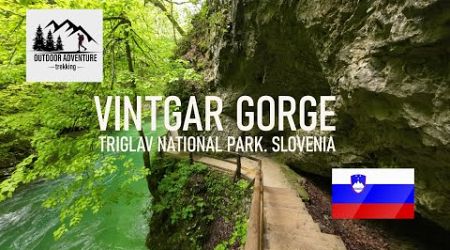 Vintgar Gorge. Triglav National Park. Slovenia.