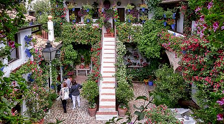 Must-visit: The patio festival in Cordoba this weekend will see hundreds battle to have their floral display declared the most beautiful