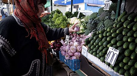 Illegal Russian cucumbers face crackdown by Lithuania