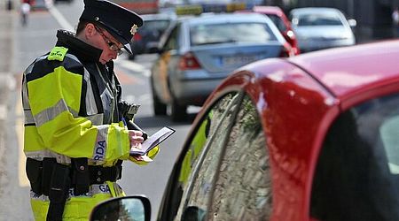 Ireland's worst motorists: From 'arty' fake insurance discs to driver nabbed in stolen car after court appearance