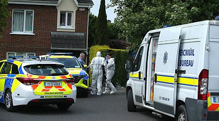Man (39) stabbed during altercation at social gathering at house in Sallins, Co Kildare