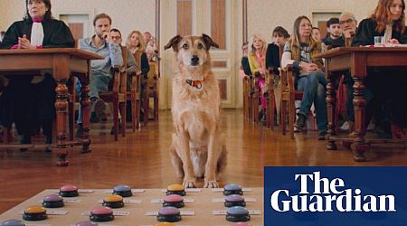 A dog in the dock and another doing red carpet interviews: why has Cannes gone canine crazy?