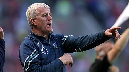John Kiely makes plea to GAA after "pure bonkers" incident during Cork v Limerick