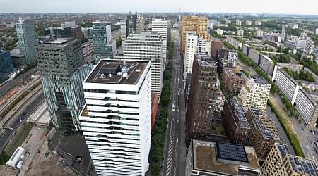 Netherlands CFOs growing more optimistic despite concerns about business climate