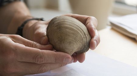 Summers warm up faster than winters, fossil shells from Antwerp show