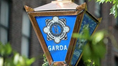 Man hospitalised with horror injuries to arm after robbery and assault in Dublin