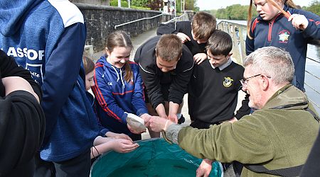Creative Clusters brings delights of River Blackwater to local pupils