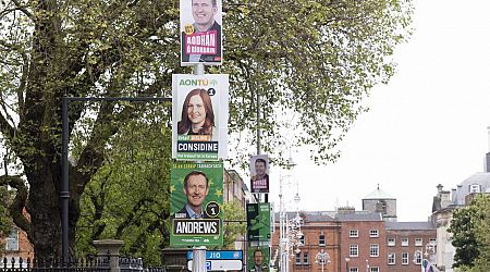 Local and European elections: Everything you need to know
