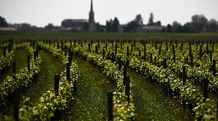 French court confiscates Bordeaux wine chateaux from Chinese magnate