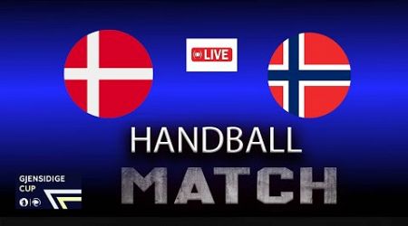 Denmark Vs Norway handball match Gjensidige Cup 2024