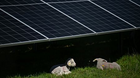 Chinese Firms Exit Romania Solar Tender After EU Probe