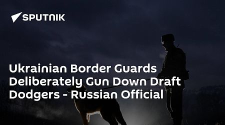 Ukrainian Border Guards Deliberately Gun Down Draft Dodgers - Russian Official