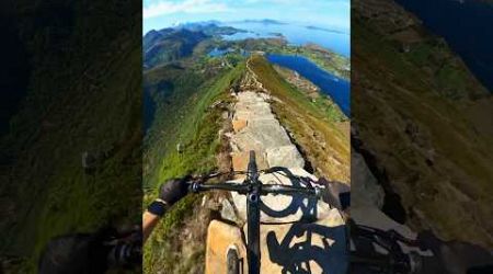 What?! The most beautiful trail I have ever ridden! #mountainbiking #norway #remymetailler