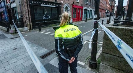 Two arrested after man injured during early hours assault in Dublin 