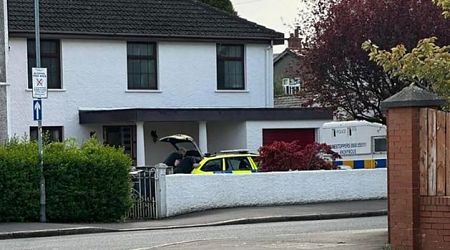 Suspected cannabis growhouse discovered in home owned by Ulster Rugby