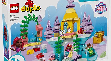 LEGO Duplo Disney Summer 2024 Set Images, Prices & Release Dates (10420 10424 10435)