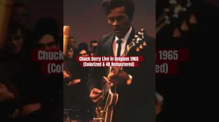 #chuckberry #music #rock #remastered #live #rocknroll #colorized #belgium #kingofrocknroll