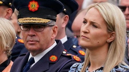 Widow of tragic garda sergeant takes legal action against Gsoc, Garda Commissioner, Justice Minister and Attorney General