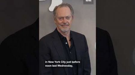 Steve Buscemi punched in face in random New York City attack