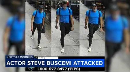 Police searching for man after actor Steve Buscemi punched in the face in random attack