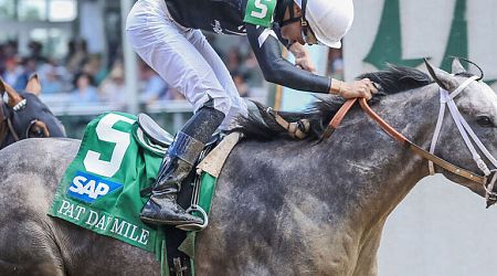Seize the Grey wins 149th Preakness Stakes
