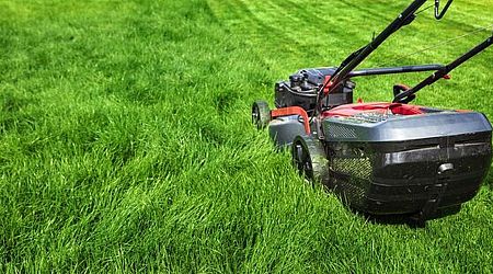 Expert pinpoints 'worst mistake you can make' when mowing lawn that's a 'recipe for disaster' 