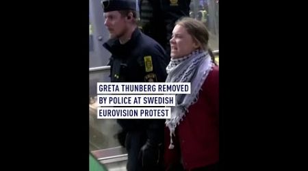 Greta Thunberg removed by police at swedish Eurovision protest