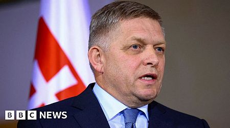 Slovakia PM Fico stable after further surgery