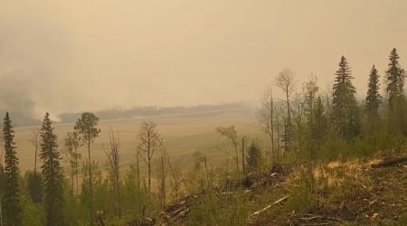 Why holdover, or 'zombie,' wildfires are a bigger problem for B.C. this year