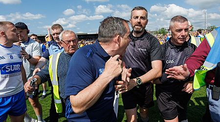 Davy Fitzgerald gives verdict on referee Liam Gordon as Clare deny Waterford at the death