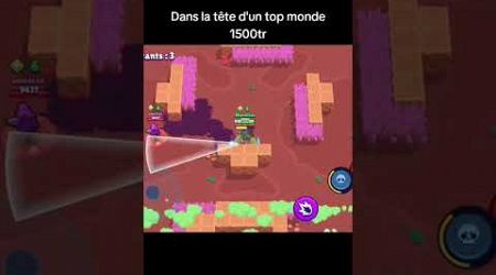 dans la tete d&#39;une shelly rang 35 #brawlstars #funny #supercell #browlersgaming #brawl #bs #jeux