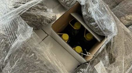 Bulgarian Customs Hauls 3,220 Litres of Undeclared Olive Oil from Turkiye