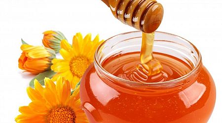 Romania Ranks 3rd in EU Honey Exports for 2023