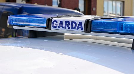 Manhunt under way after man armed with sword drove into garda and rammed patrol cars in Dublin