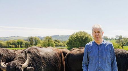 How this Cork dairy farmer went from 37 cows to 840 buffalo in 15 years