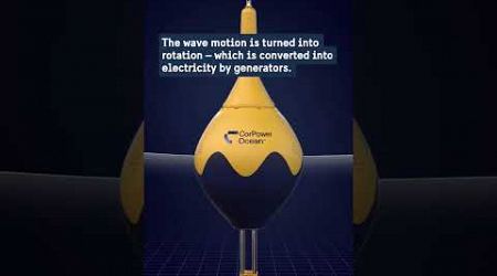 This wave energy converter is inspired by the human heart!