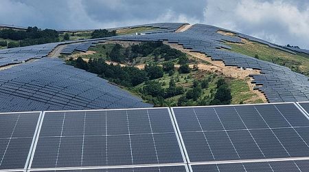 Share of Photovoltaic Plants in Transmission Grid Up by 115% Y/Y in 2024, ESO Reports