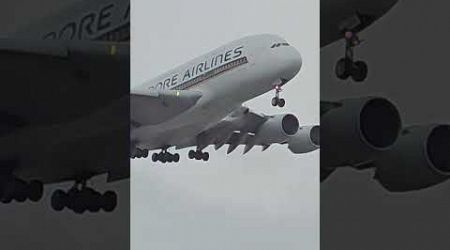 Singapore Super! SQ231 SIN-SYD Airbus A380-800 in 4K HD #planespotting #4k #hd @singaporeair #airbus