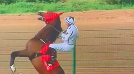 Irish jockey shows remarkable poise as horse dramatically rears up at Cork