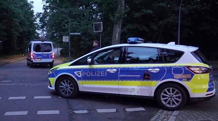 German police record number of politically motivated crimes in 2023