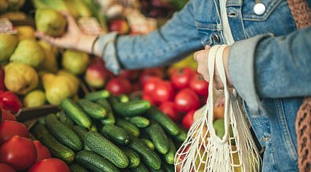 Irish consumers want more sustainable food but not to pay for it, UCC survey finds