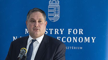 Hungarian economy minister Nagy calls for maintaining voluntary rate cap on retail credit until June 30